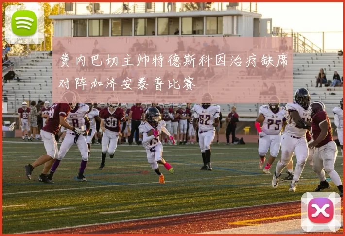 费内巴切主帅特德斯科因治疗缺席对阵加济安泰普比赛