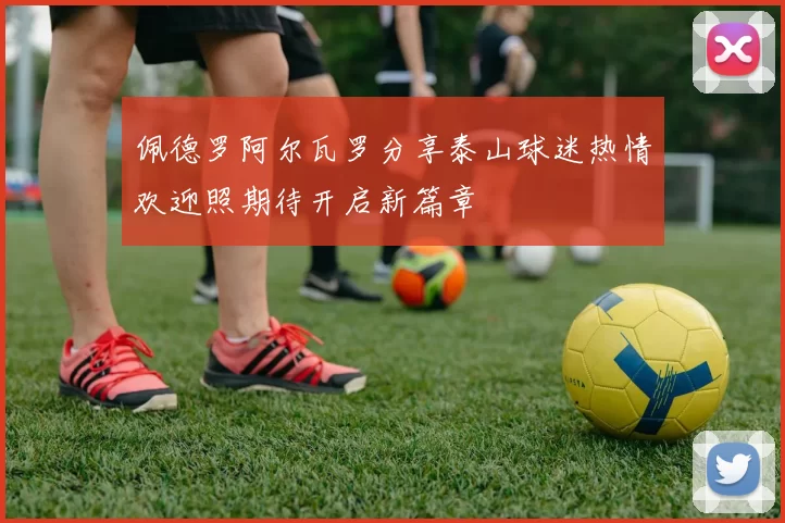 佩德罗阿尔瓦罗分享泰山球迷热情欢迎照期待开启新篇章