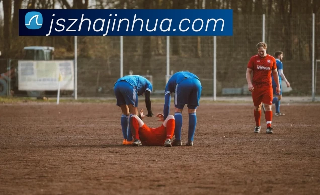 多媒体互动体验